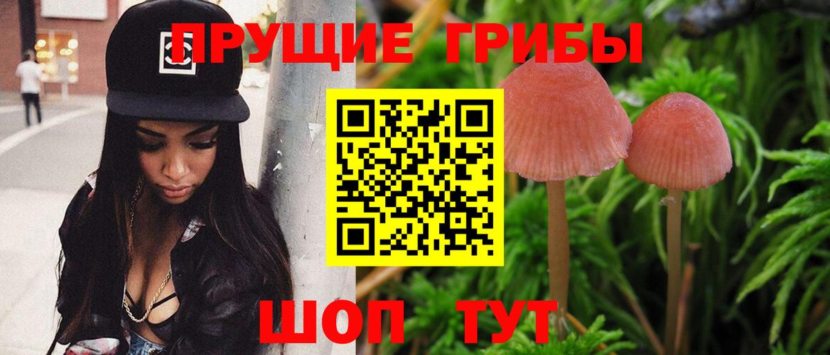 Галлюциногенные грибы MAGIC MUSHROOMS Мценск
