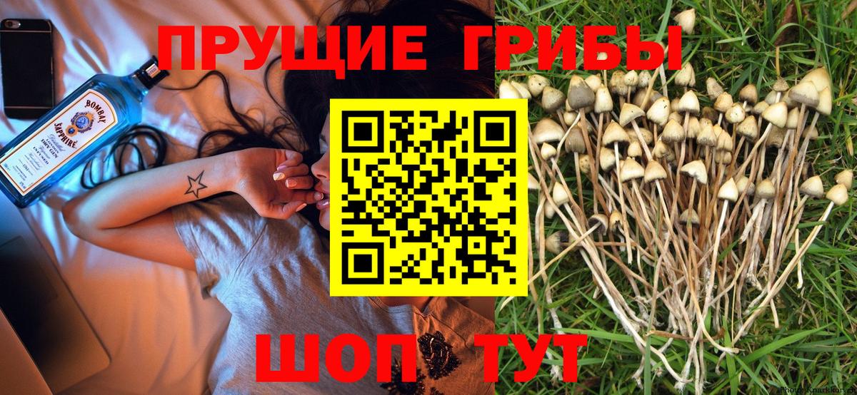 Мценск  Псилоцибиновые грибы мухоморы  Вход с VPN  Галлюциногенные грибы MAGIC MUSHROOMS 